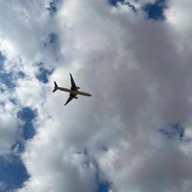 Imamaliyeva F Profile Picture