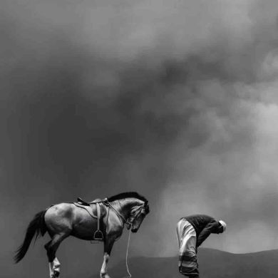 Sherefa Abedila profile picture