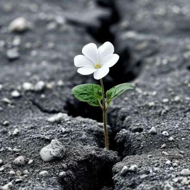 سلام سلام Profile Picture