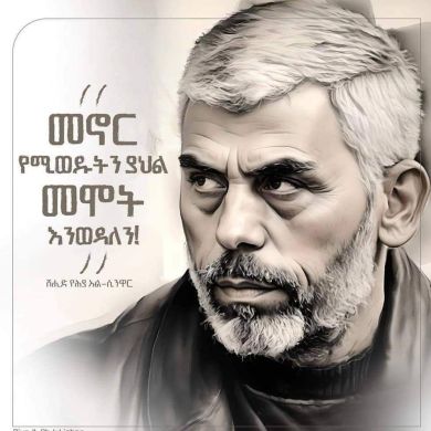 Zinet Ahmed Profile Picture