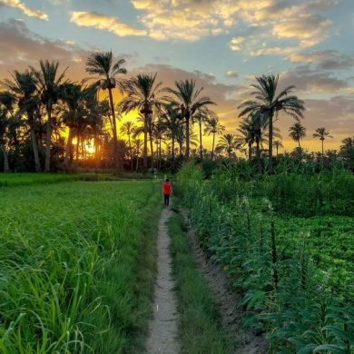 Ali Aman Profile Picture