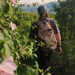 Telegram: Contact @BlogsTimurom