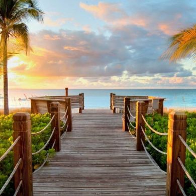 ILM MEDIA DARSLIKLAR