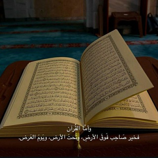 Telegram: Contact @Xasanbek_Egamberdiyev