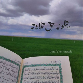 Telegram: Contact @Yattlouneh