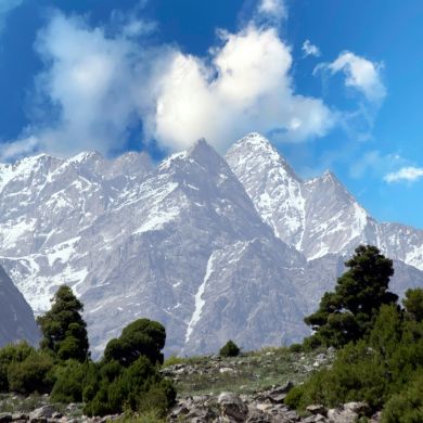 Ahmad Afghani Profile Picture