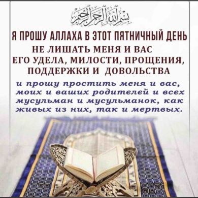 шамиль магомедов