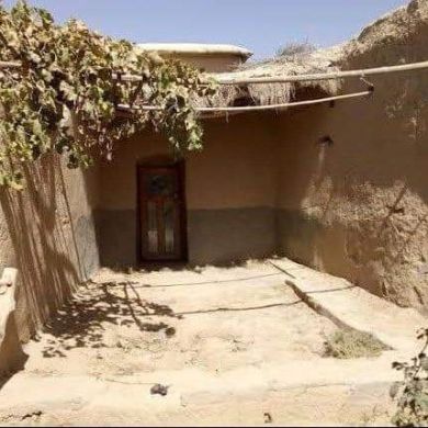 Жанета Яхиева