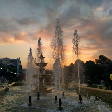 Amina Amina Profile Picture