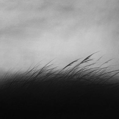 العبد الله Profile Picture