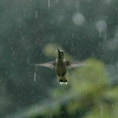 choliqushi_2103 Profile Picture