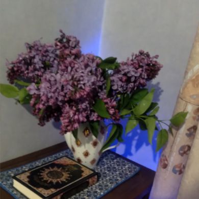 Islam Tiiwaki Profile Picture