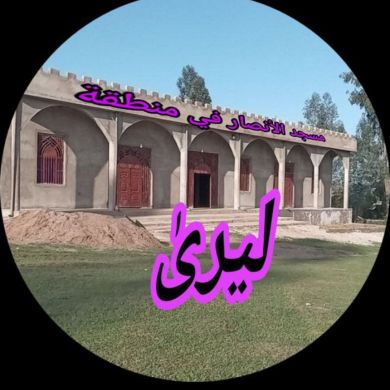 mohamed radela Profile Picture