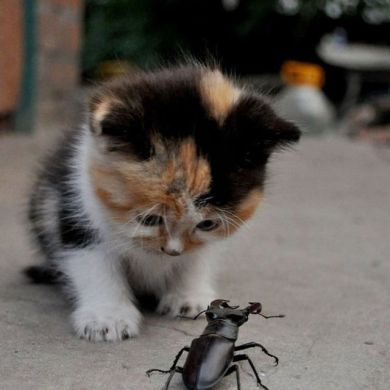 Ibrohim Abduvahobxoʼjayev Profile Picture