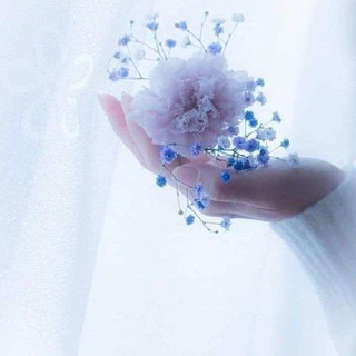 Telegram: Contact @Qalbim_sirlari_77