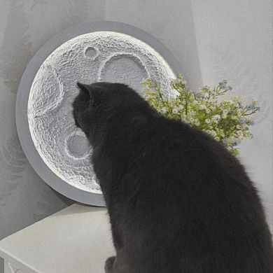 HedaArt Profile Picture