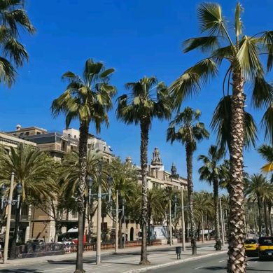 Руслан Лалаев