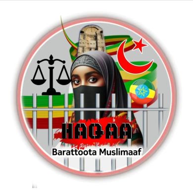 Mohib sherf Profile Picture