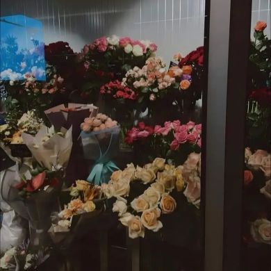 فيصل  خلف الله