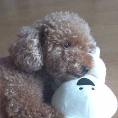 Claude Holloway Profile Picture