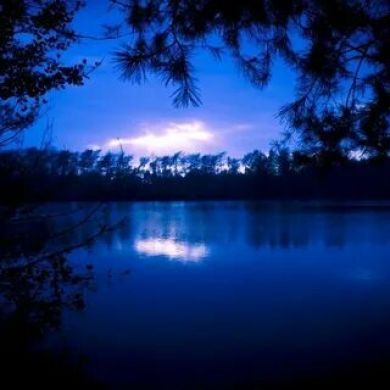 Тахмина Лашкари Profile Picture