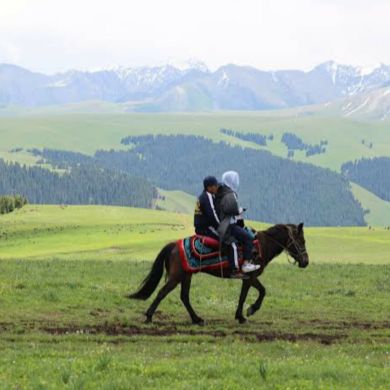 Ahmad Ali Profile Picture