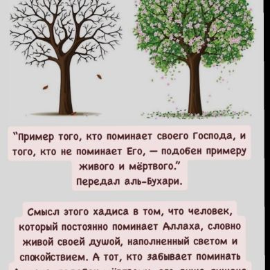 Рафис Ханмагомедов Profile Picture