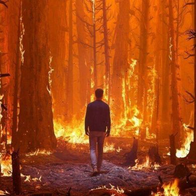 كمال بن عبدالمنعم Profile Picture