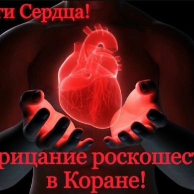 Ramzan  Bersanov  Profile Picture