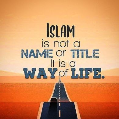 Olimjonov103 Profile Picture