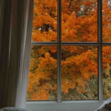 m ikramovna Profile Picture