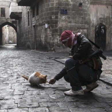 Аслан Умарбаев Profile Picture