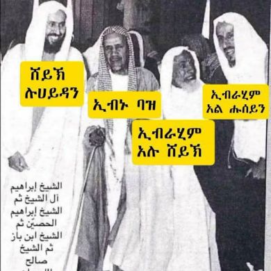 shems Profile Picture