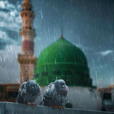 Maryam571 Profile Picture