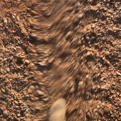 وائـِل كحلاوي