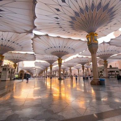 к бинт Ибрахим Profile Picture