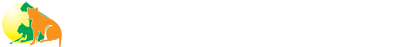 African Wildlife Safari Tours in Kenya | Ashford Tours