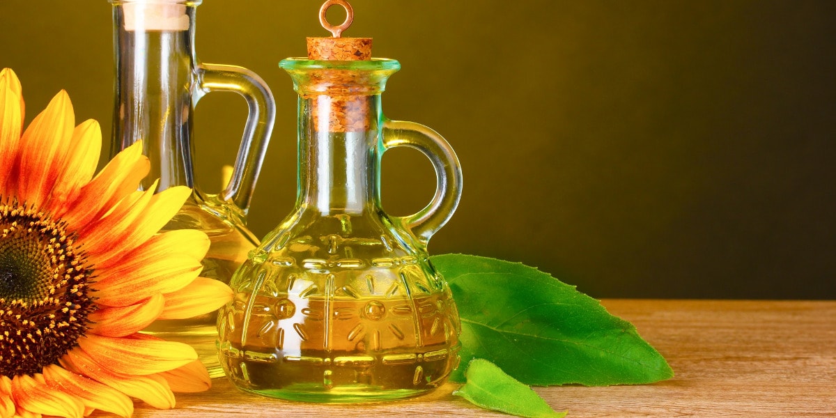 Виробництво теплообмінників для олійно-жирової промисловості ⭐