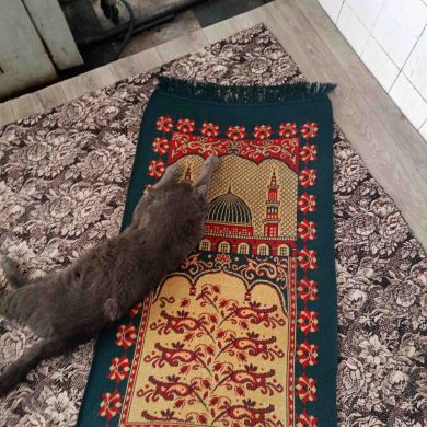 pytnik1991 Profile Picture