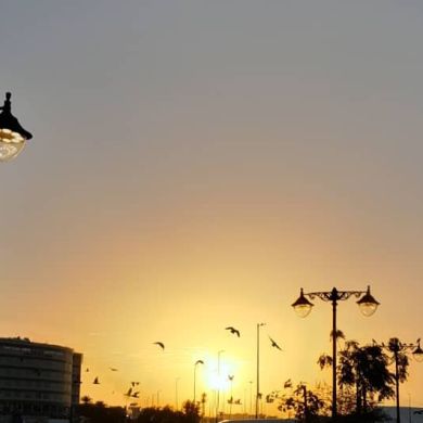 Umoma Bintu Maʼmur Profile Picture