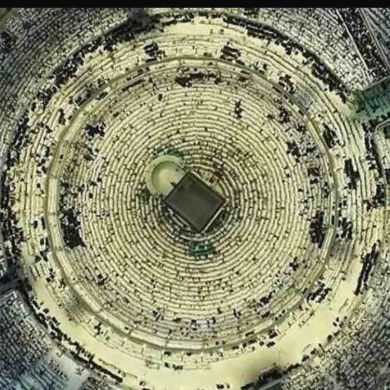 Рушан Хабиров Profile Picture