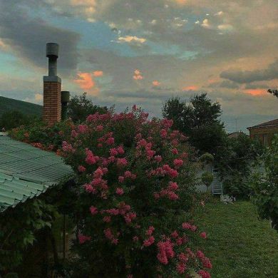 zahro shamshidinova Profile Picture