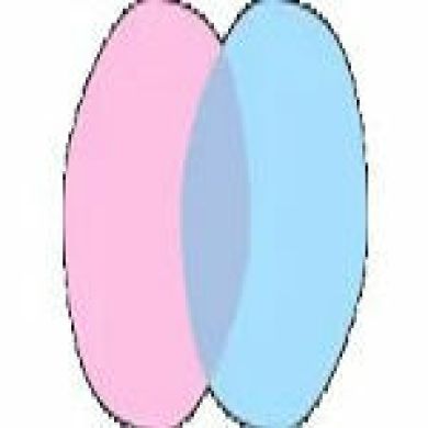 chat nederlands Profile Picture