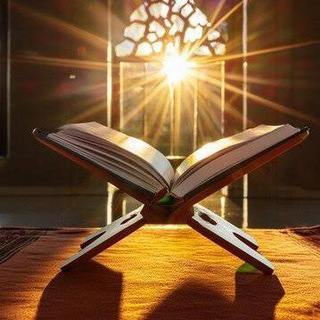 Telegram: Contact @Quranreaction12