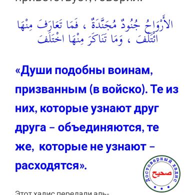 Абдула Гаджиев Profile Picture