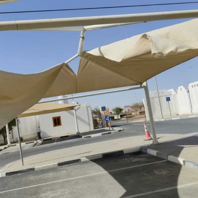 محمود شاهين