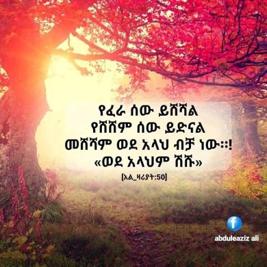 fayida Awel Profile Picture