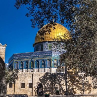 Abdellah Hachach Profile Picture