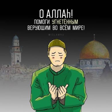 Абубакр Сулейманов Profile Picture