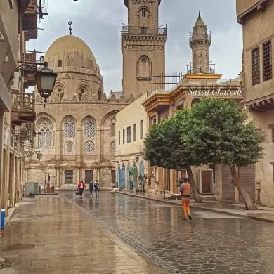 Ahmed nasser Elmasry Profile Picture